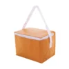 AP731486-03__B torba termiczna