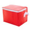 AP731486-05 torba termiczna