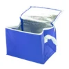 AP731486-06__C torba termiczna