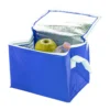 AP731486-06__FC torba termiczna