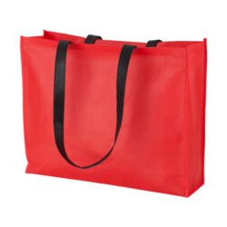 AP731734-05 torba