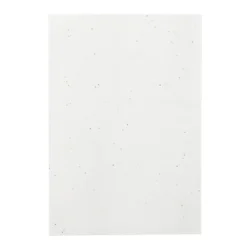 AP731947-01__D notes z papieru nasiennego