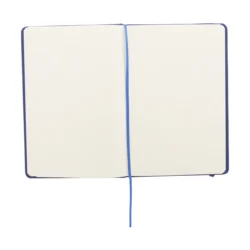 AP731965-06__C notes