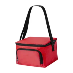 AP733737-05__C torba termiczna