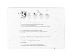 AP734047-01__D notatnik z karteczkami samoprzylepnymi z papieru nasiennego