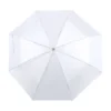 parasol