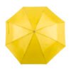 AP741691-02 parasol