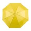 AP741691-02 parasol