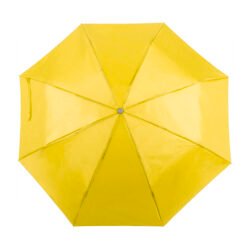 AP741691-02 parasol