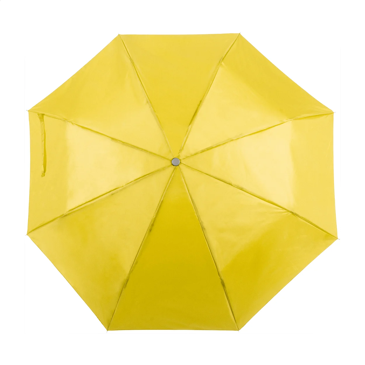 AP741691-02 parasol
