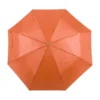 parasol