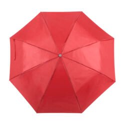 AP741691-05 parasol