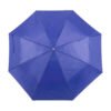 AP741691-06 parasol