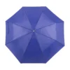 AP741691-06 parasol