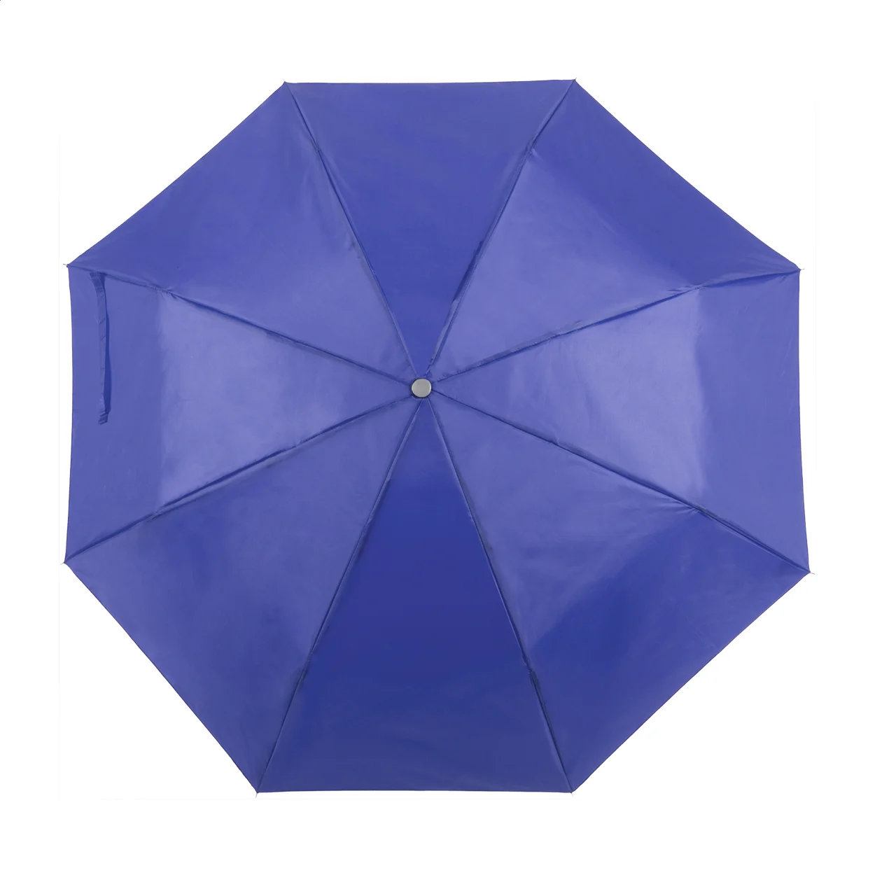 parasol