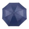 parasol