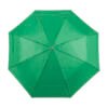 AP741691-07 parasol