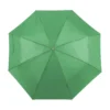 AP741691-07 parasol