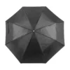 AP741691-10 parasol