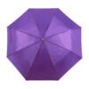 AP741691-13 parasol