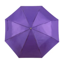 AP741691-13 parasol