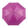 parasol