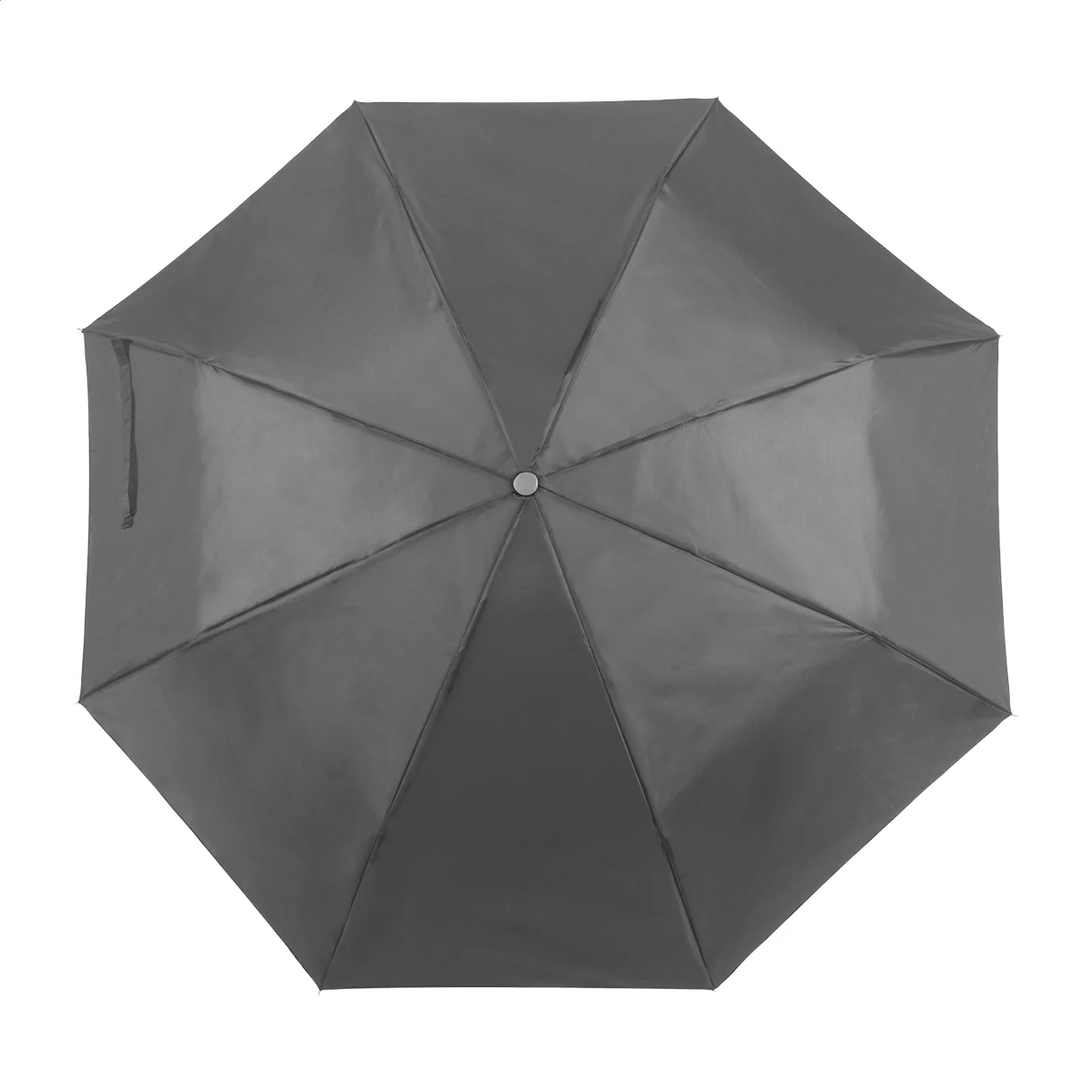parasol