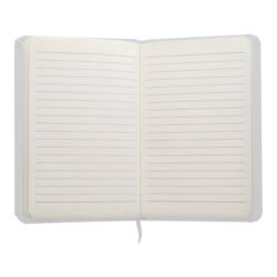 AP781194-01__B notes