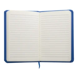 AP781194-06__C notes
