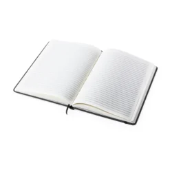 AP781195-10__A notes