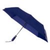 AP791148-06 parasol