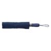 AP791148-06__A parasol