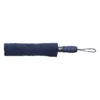 AP791148-06__A parasol