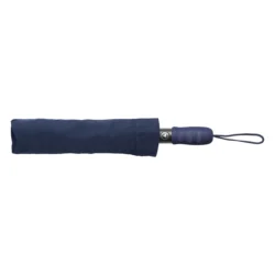 AP791148-06__A parasol