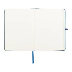 AP800079-06__B notes RPET