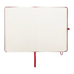 AP800079-08__B notes RPET