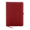AP800079-08__C notes RPET