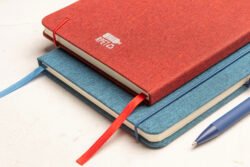 AP800079-08__DG2 notes RPET