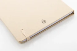 AP800097-00__CU1 notes