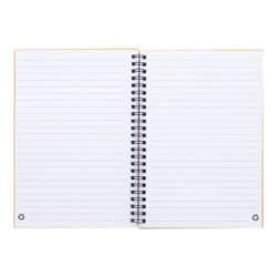 AP800194-00__B notes