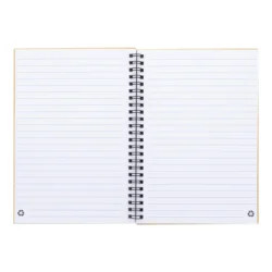 AP800194-00__B notes