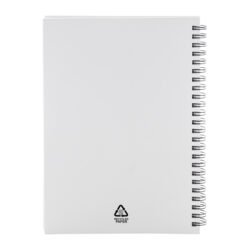 AP800194-01__C notes