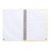 AP800194-02__B notes