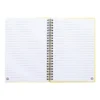 AP800194-02__B notes
