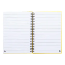 AP800194-02__B notes