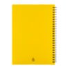 AP800194-02__C notes