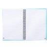 AP800194-06V__B notes