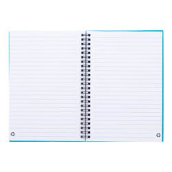 AP800194-06V__B notes