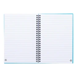AP800194-06V__B notes