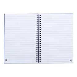AP800194-06__B notes